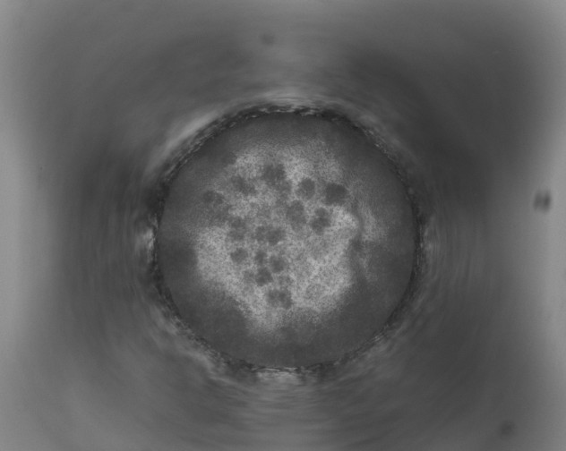 X0000111811302200908131450