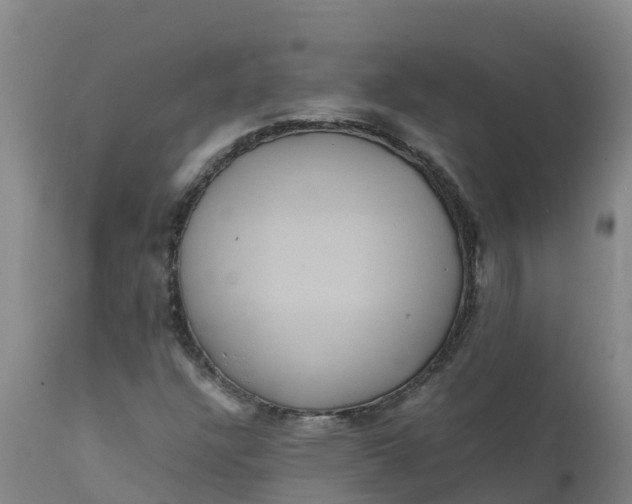 X0000111811304200908131450