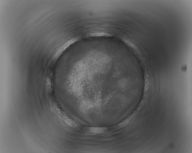 X0000111811305200908131450