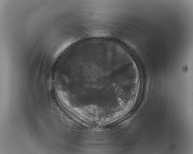 X0000111811306200908131450
