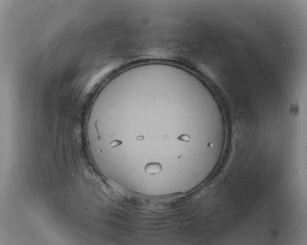 X0000111811307200908131450