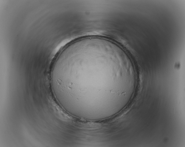 X0000111811308200908131450
