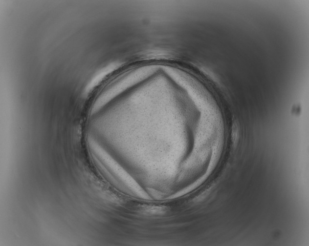 X0000111811309200908131450