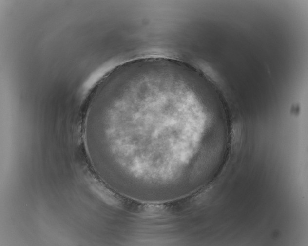 X0000111811310200908131450
