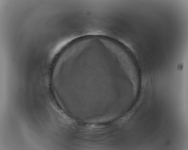 X0000111811311200908131450