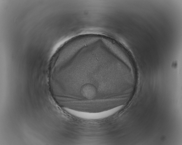 X0000111811312200908131450