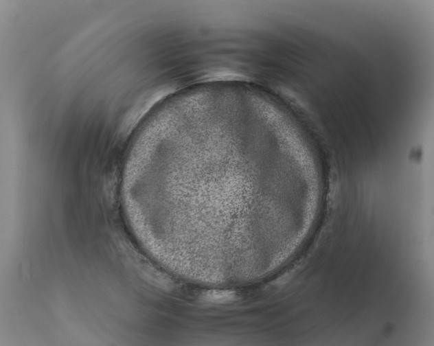 X0000111811313200908131450