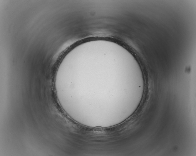 X0000111811315200908131450