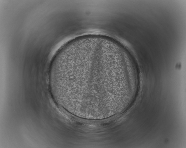 X0000111811318200908131450