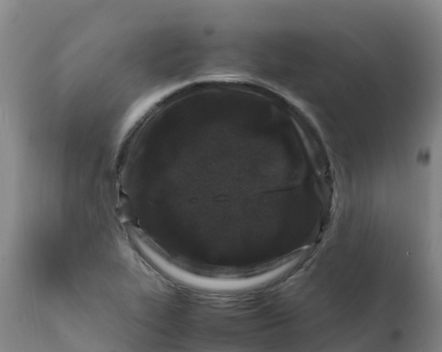X0000111811319200908131450