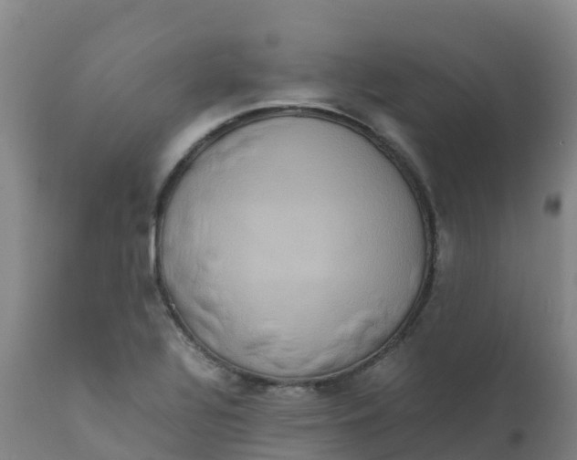 X0000111811320200908131450
