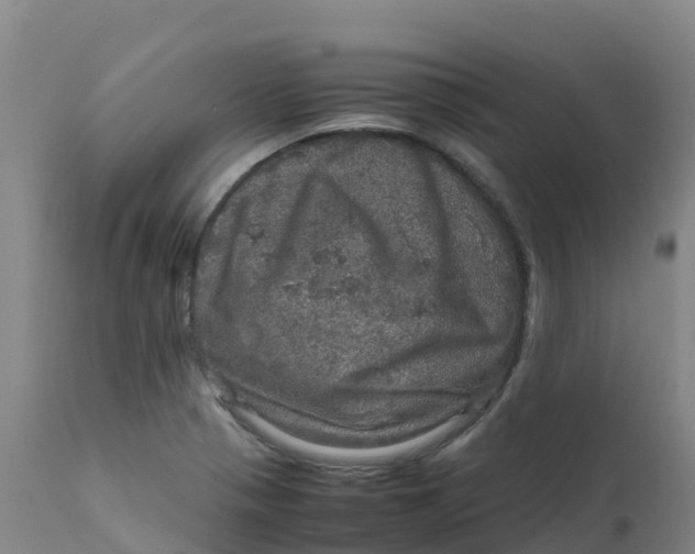 X0000111811321200908131450