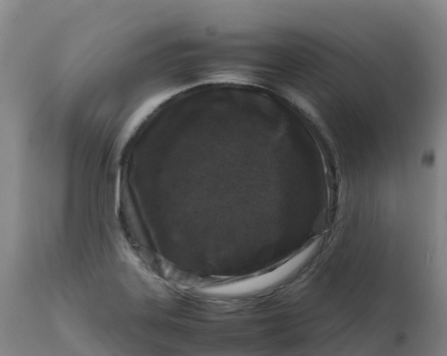 X0000111811323200908131450