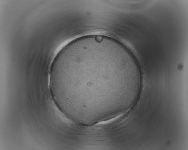 X0000111811324200908131450