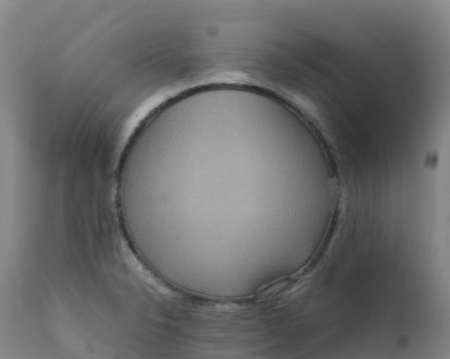 X0000111811326200908131450