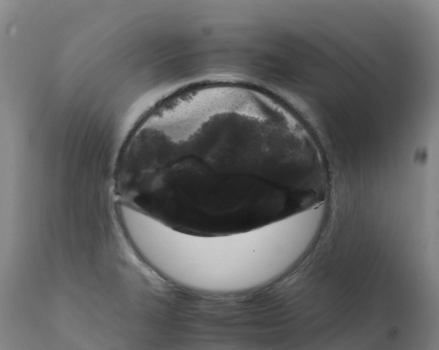 X0000111811327200908131450
