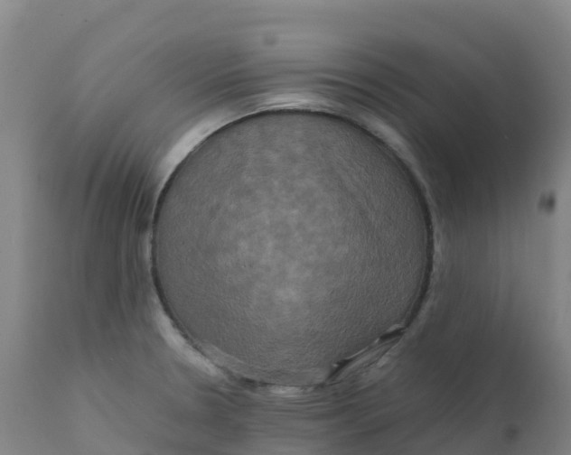 X0000111811330200908131450