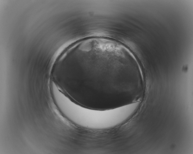 X0000111811331200908131450