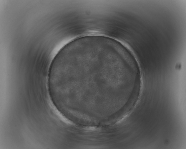 X0000111811333200908131450