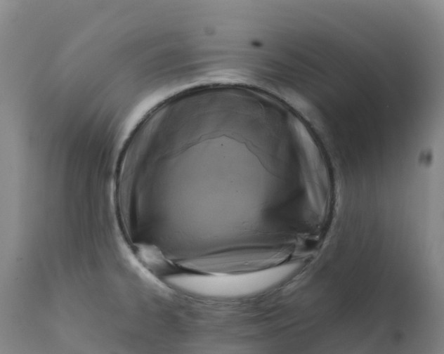X0000111811334200908131450