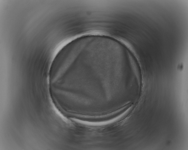 X0000111811335200908131450