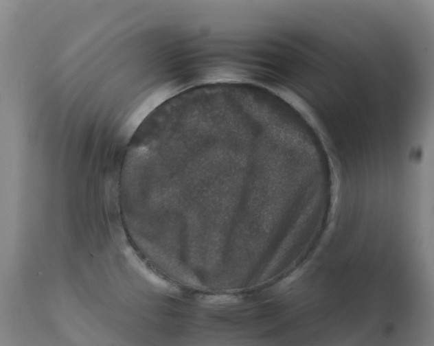 X0000111811337200908131450