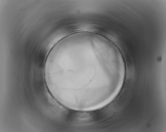 X0000111811338200908131450