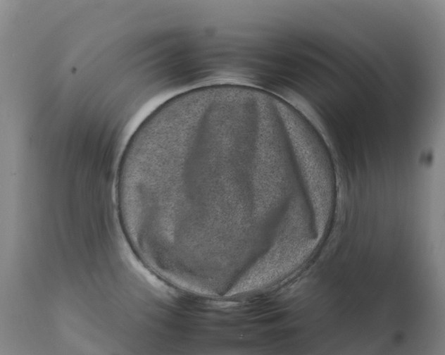 X0000111811339200908131450