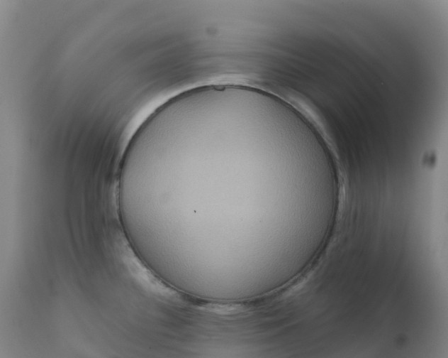 X0000111811340200908131450