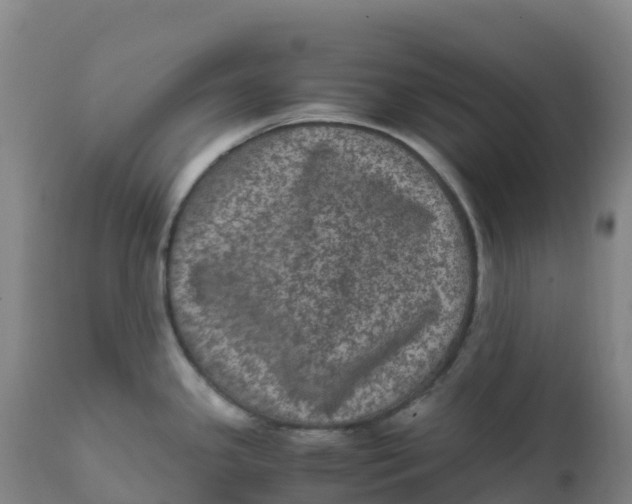X0000111811341200908131450