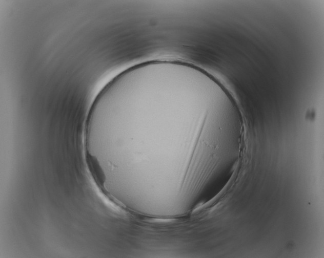 X0000111811343200908131450