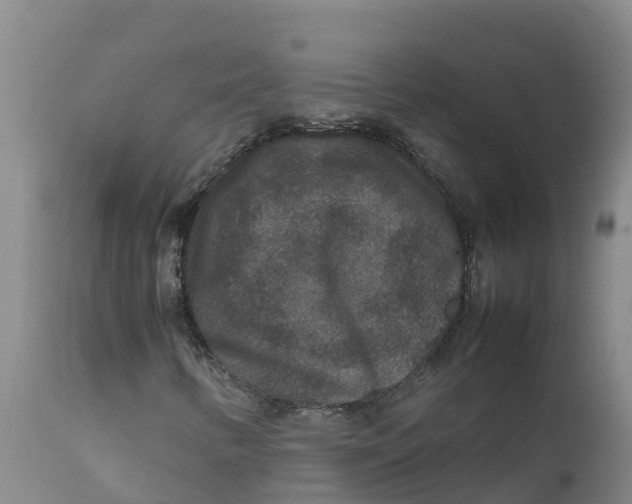 X0000111811346200908131450
