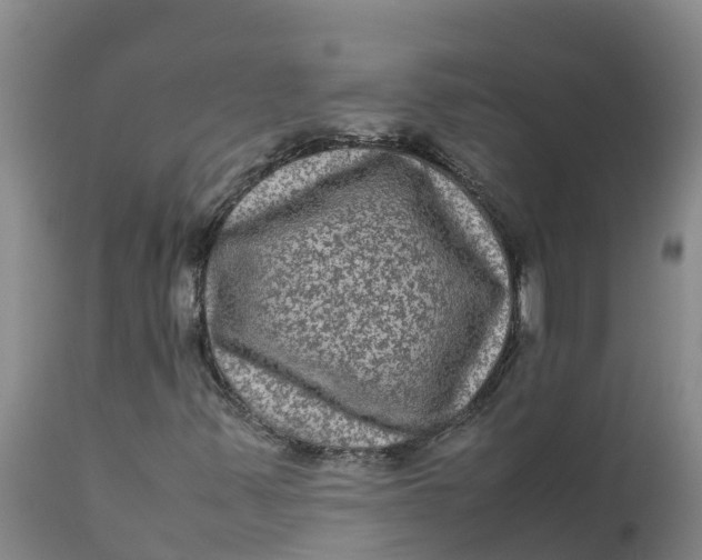 X0000111811347200908131450