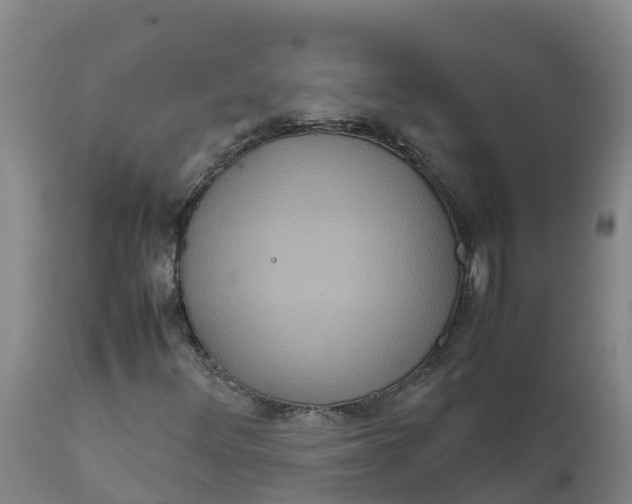 X0000111811348200908131450