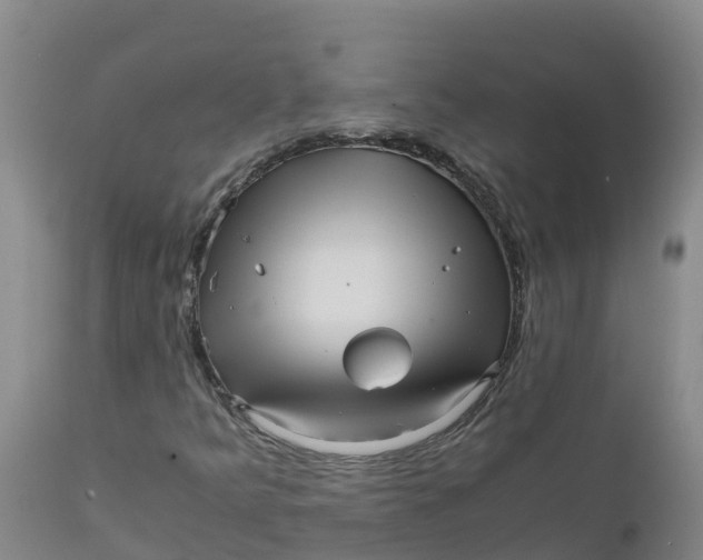 X0000111811349200908131450