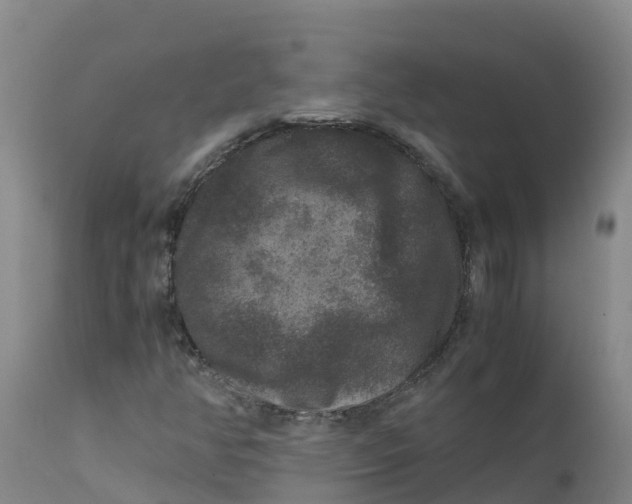 X0000111811350200908131450