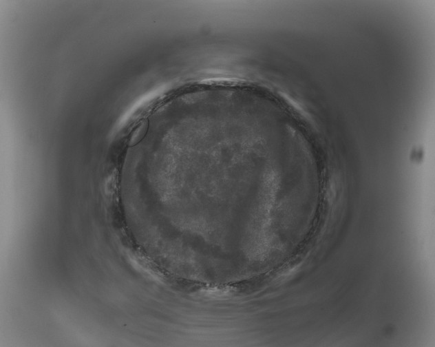 X0000111811351200908131450