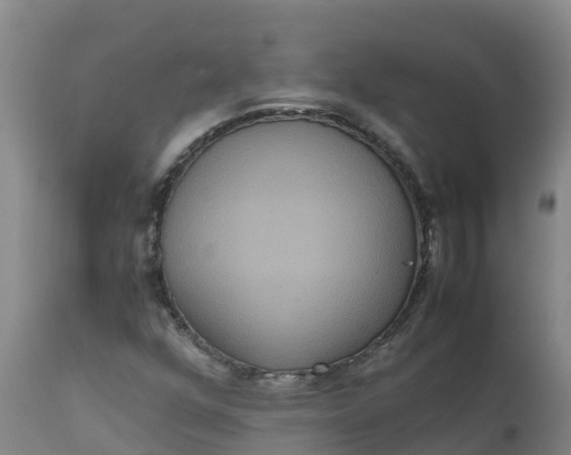 X0000111811352200908131450