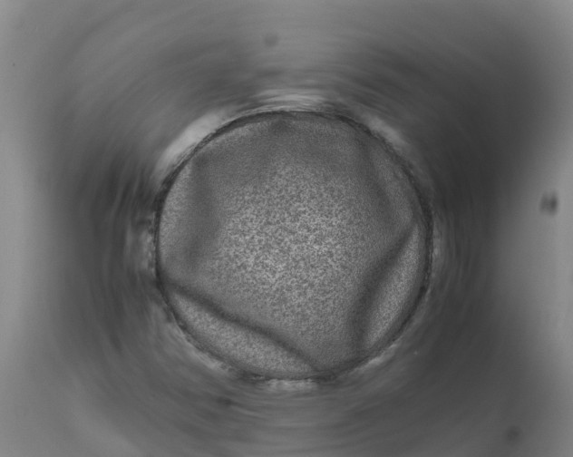 X0000111811354200908131450