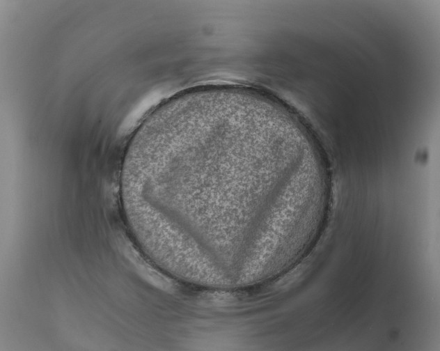 X0000111811355200908131450