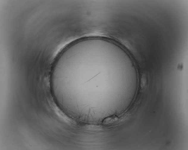 X0000111811356200908131450