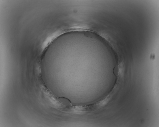 X0000111811357200908131450