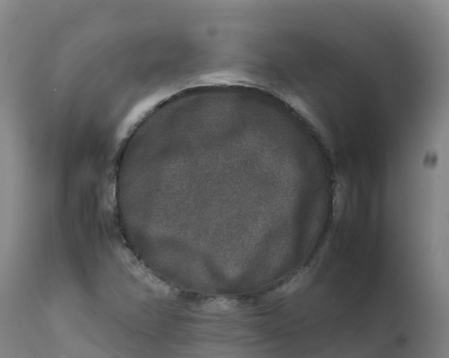 X0000111811358200908131450