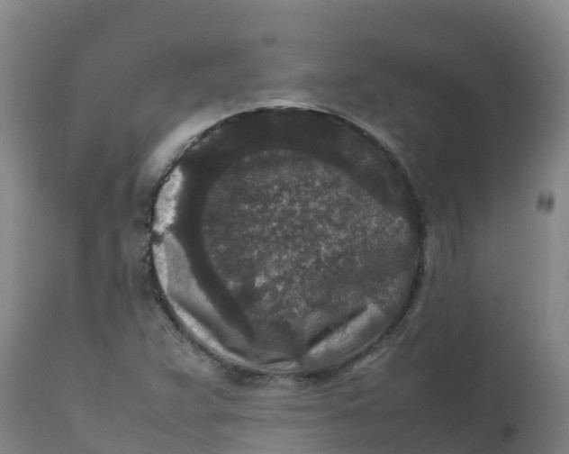X0000111811359200908131450