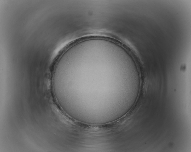 X0000111811360200908131450