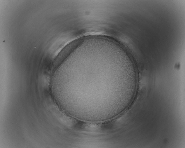 X0000111811361200908131450