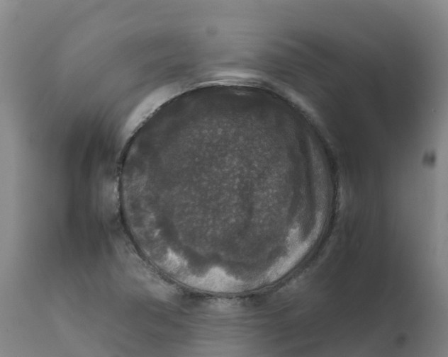 X0000111811362200908131450