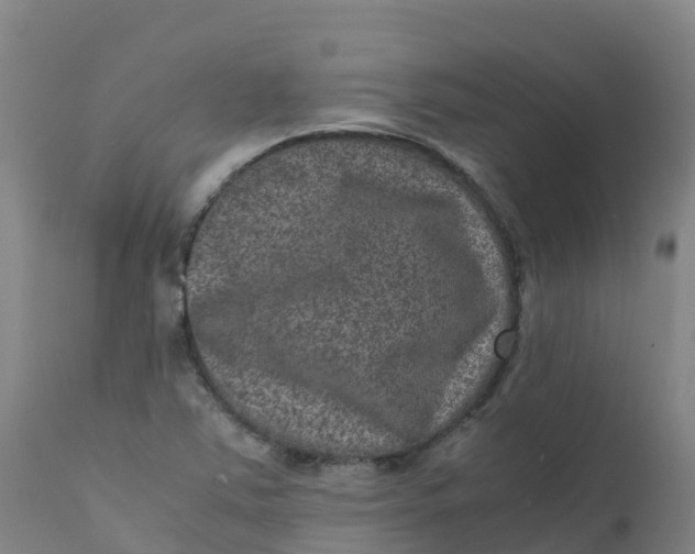 X0000111811363200908131450