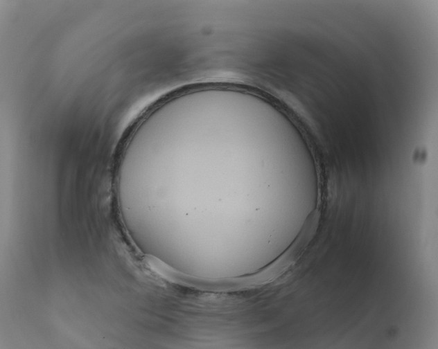 X0000111811364200908131450