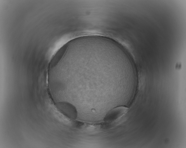 X0000111811365200908131450